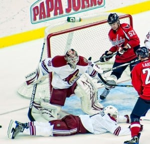 In the Coyotes Crease