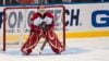 Tomas Vokoun, Florida Panthers