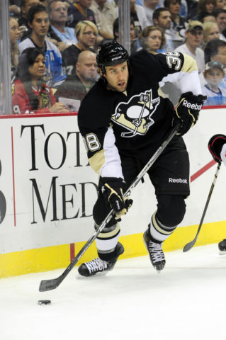 Colin McDonald Penguins