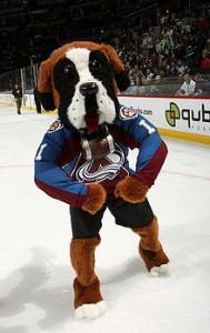 bernie the stbernard