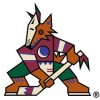 small old phoenix logo