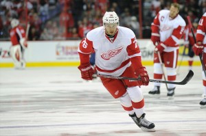 Fabian Brunnstrom Fabian Brunnstrom Red Wings