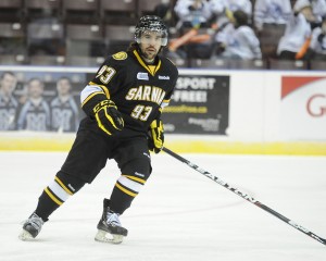 Brett Thompson of the Sarnia Sting. Photo by Aaron Bell/OHL Images Brett Thompson