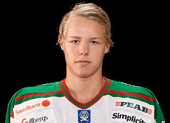 Lindholm_Rogle