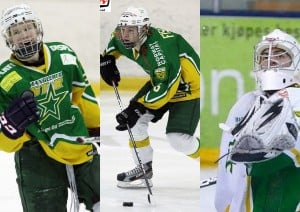 Bryhnisveen-Fischer-Haga Norwegian junior hockey