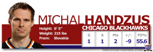 THWProfile - Sharks Michal Handzus