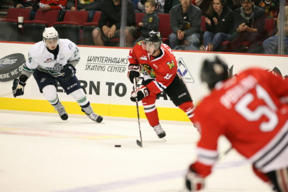 Nic Petan Portland Winterhawks