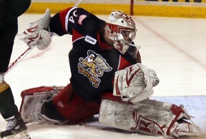 (Ross Bonander / THW)