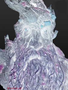 Treebeard Fear Toxin