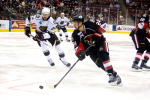 Hershey Bears John Mitchell and Binghamton Senators Stephane Da Costa. (Annie Erling Gofus/The Hockey Writers)