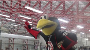 Tux hockey mascot hockey mascot interview