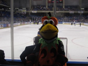 One of Tux's many looks throughout the hockey season was an October home game where he dressed as a pumpkin for Halloween. (Alison Myers/THW)