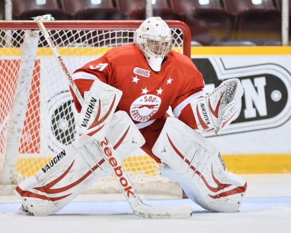 Halverson Greyhounds