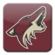 Arizona Coyotes could draft Rasmus Dahlin.