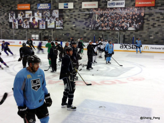 Dwight King and Robyn Regehr