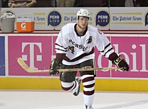 Hershey Bears defenseman Tomas Kundratek (flickr/stat19)