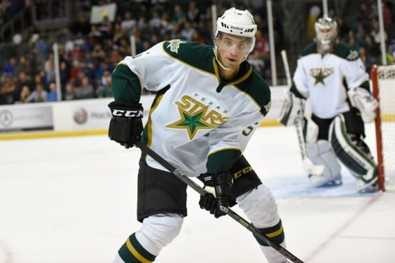 (Michael Connell/Texas Stars Hockey)