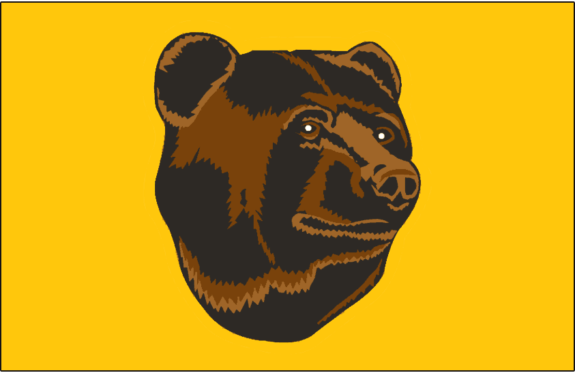 boston bruins