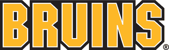 boston bruins