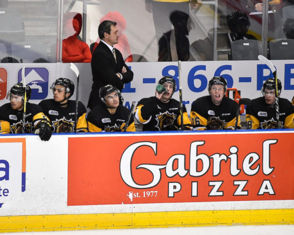 Hamilton Bulldogs