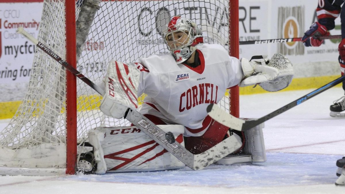 Lindsay Browning Cornell University