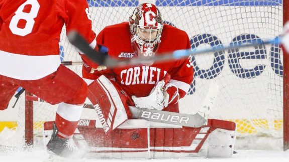 Matthew Galajda Cornell Athletics