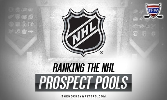 Ranking the NHL Prospect Pools