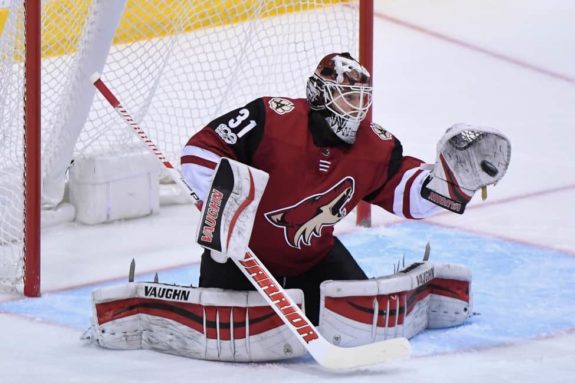 Scott Wedgewood Coyotes