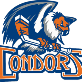 Bakersfield Condors.