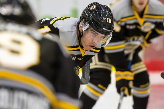 Alex Newhook of the Victoria Grizzlies