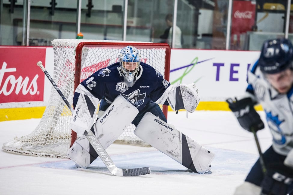 Blues Prospects Who Could Make a Great Impression at Training Camp