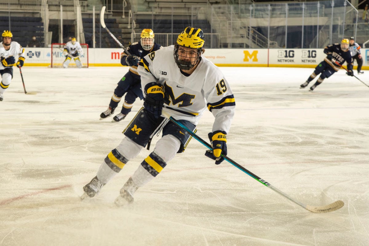 Brendan Brisson, Michigan Wolverines