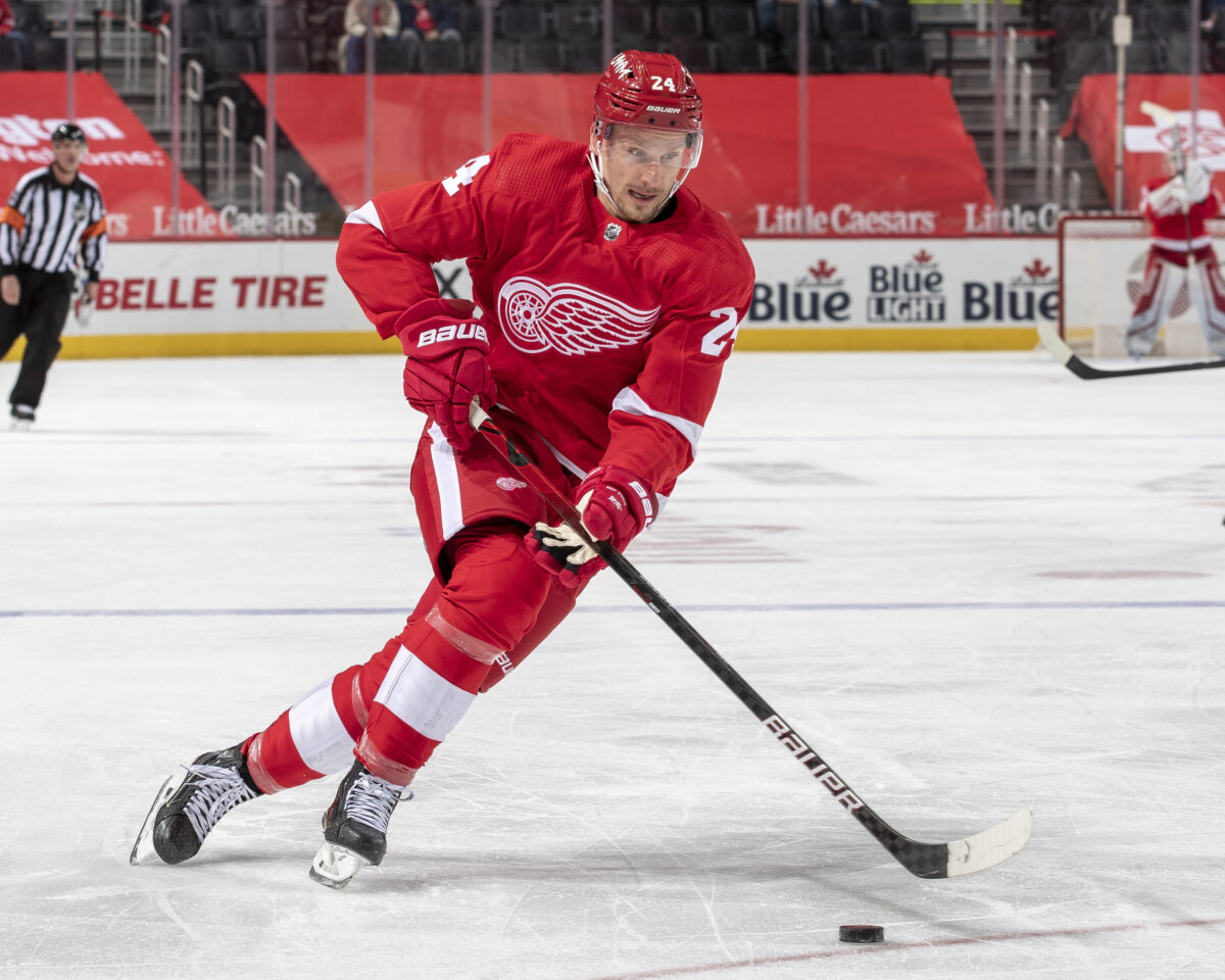 Richard Panik Detroit Red Wings