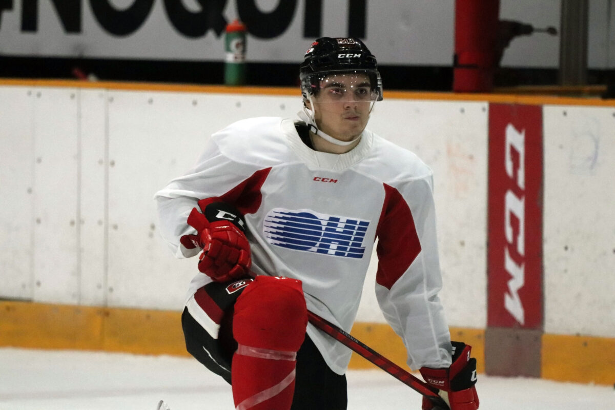 Vsevolod Gaidamak, Ottawa 67's
