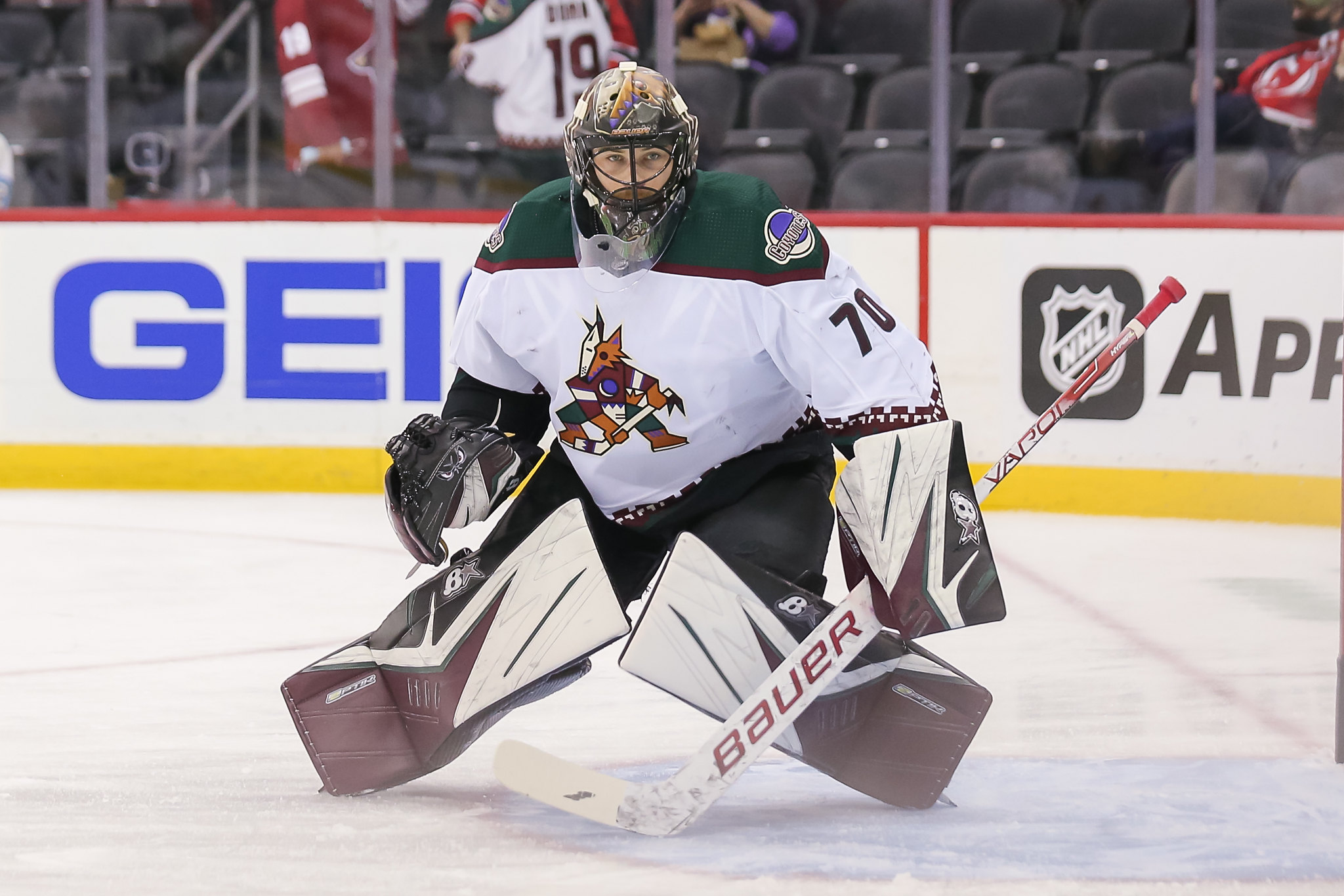Coyotes Have a Deep Goaltending Pipeline