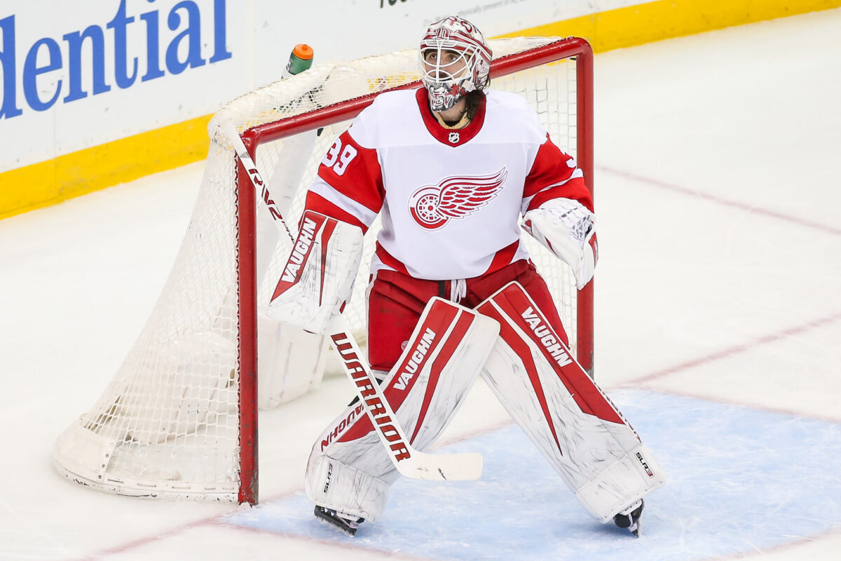 Alex Nedeljkovic Detroit Red Wings