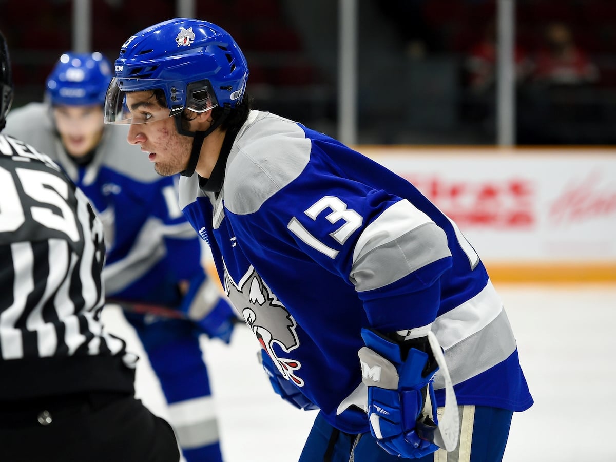 Kocha Delic, OHL, Sudbury Wolves