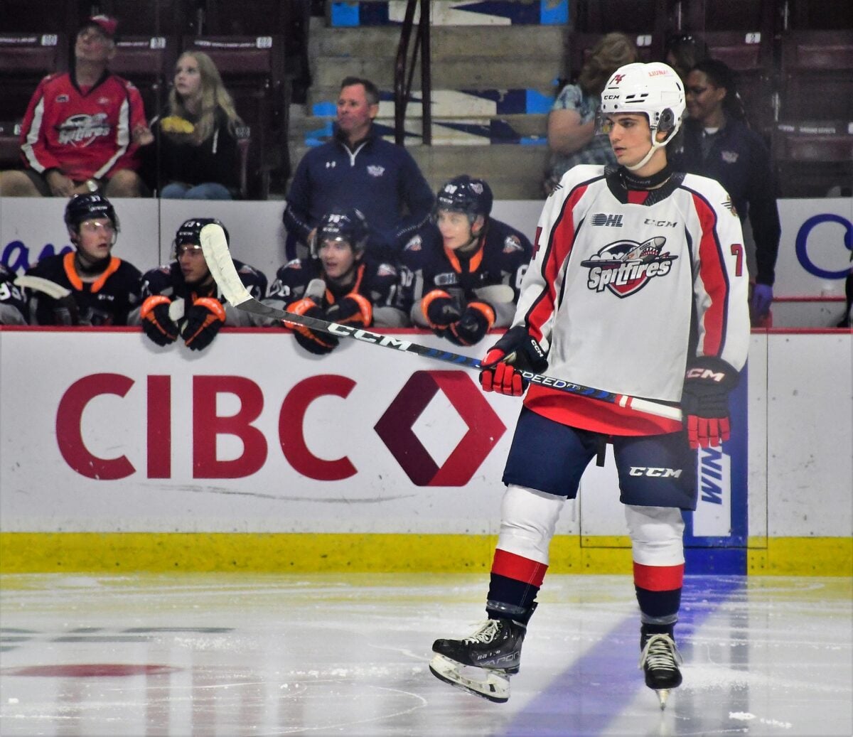 Anthony Cristoforo Windsor Spitfires