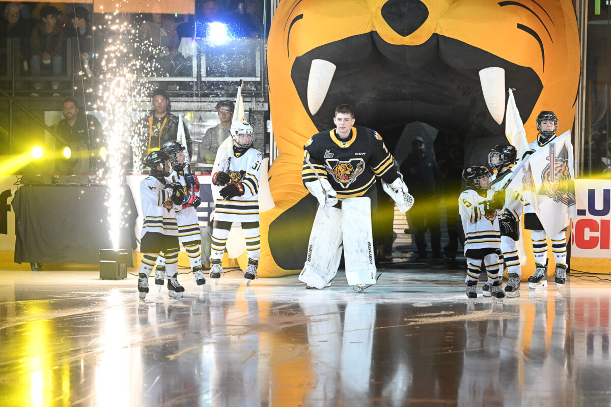 Gabriel D’Aigle Victoriaville Tigres