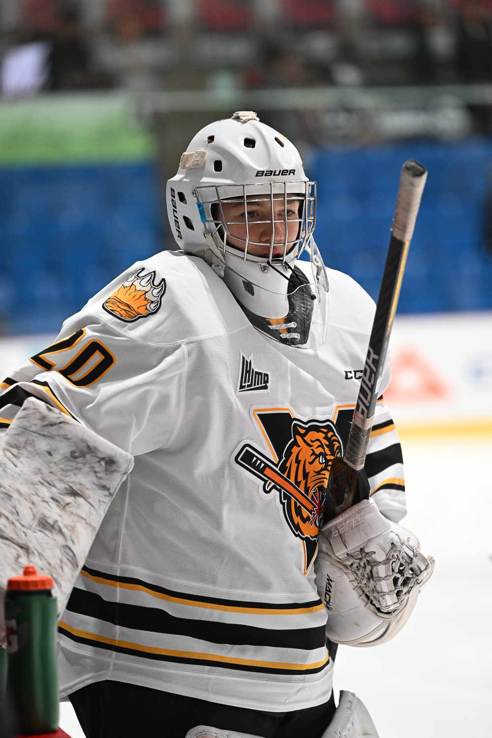 Gabriel D’Aigle Victoriaville Tigres