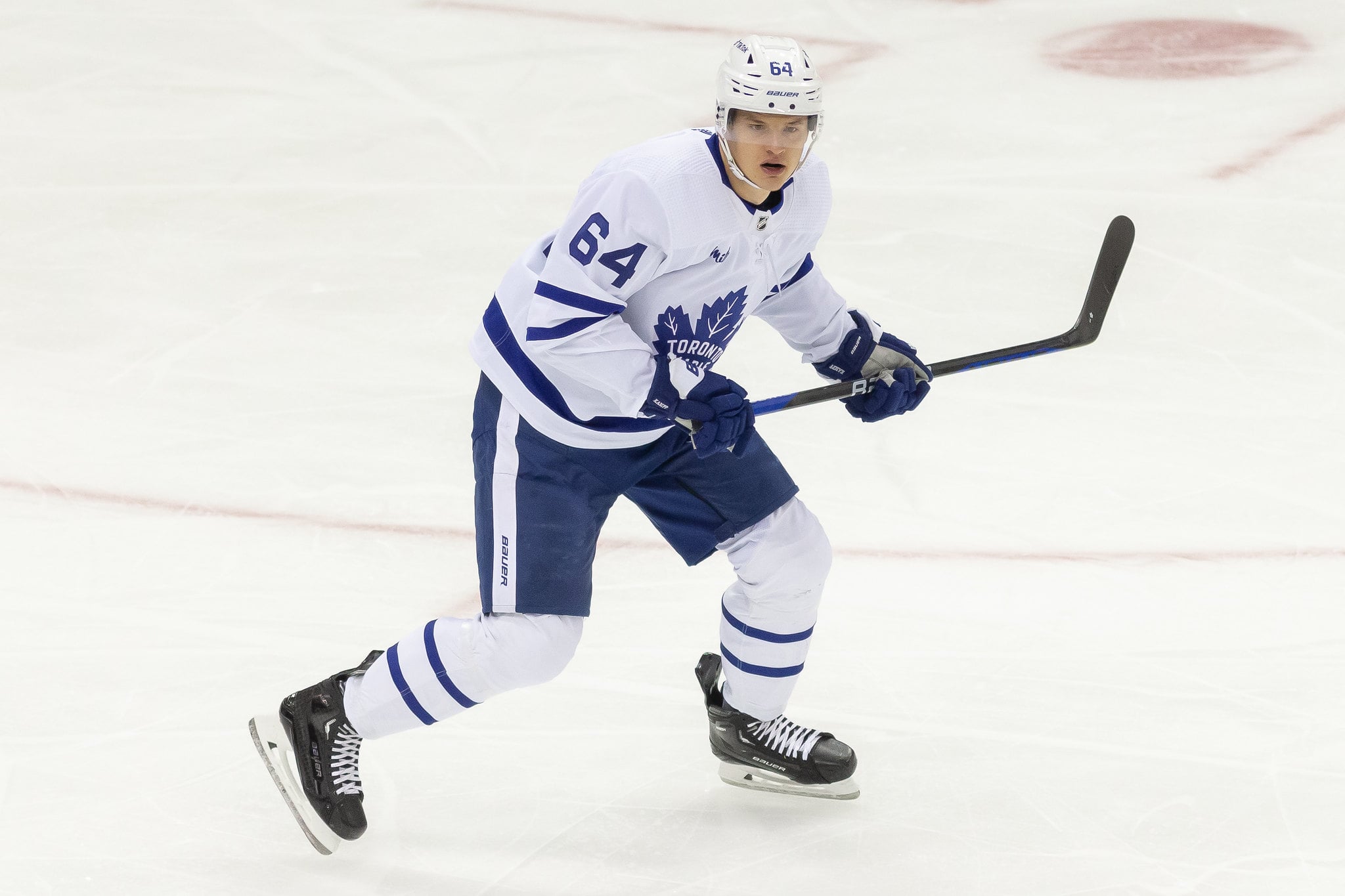 David Kampf Toronto Maple Leafs