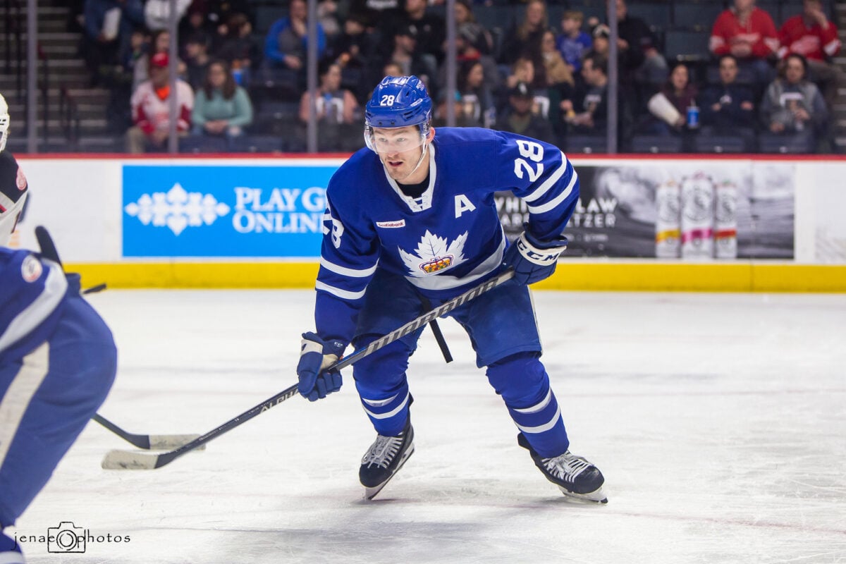 Joey Anderson Toronto Marlies