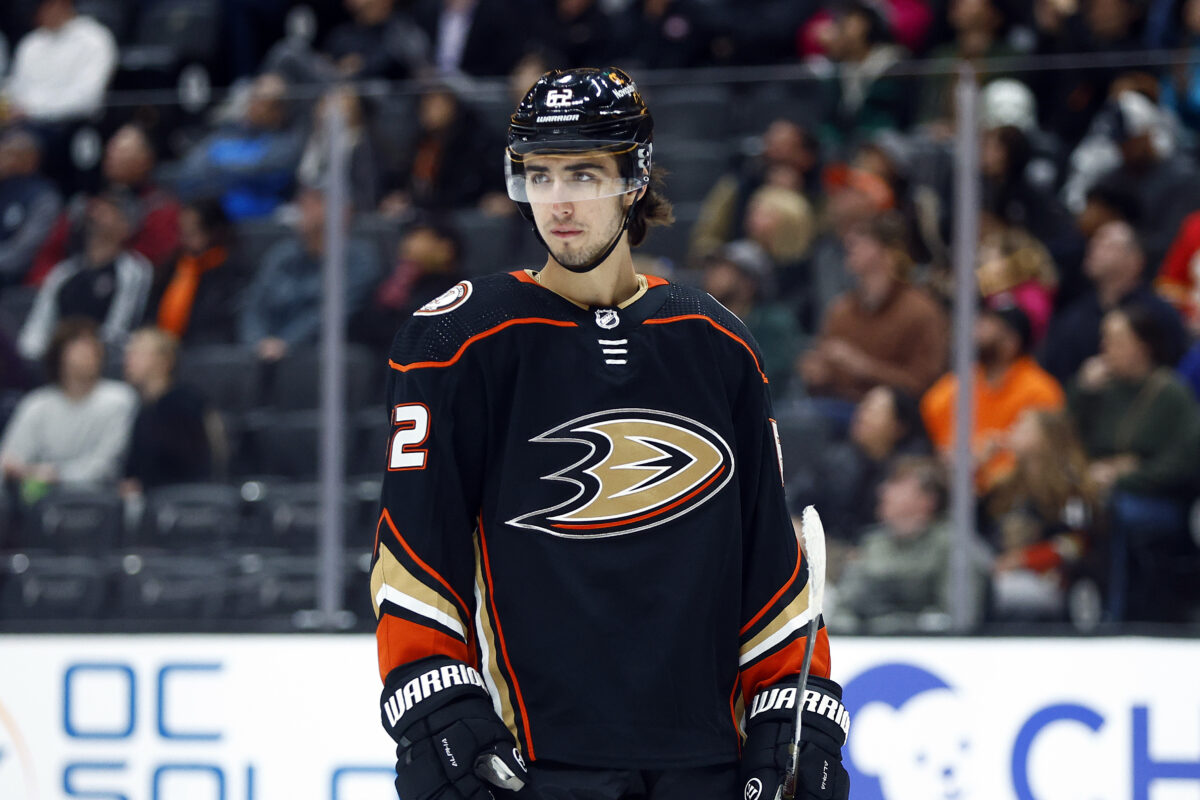 Nikita Nesterenko Anaheim Ducks