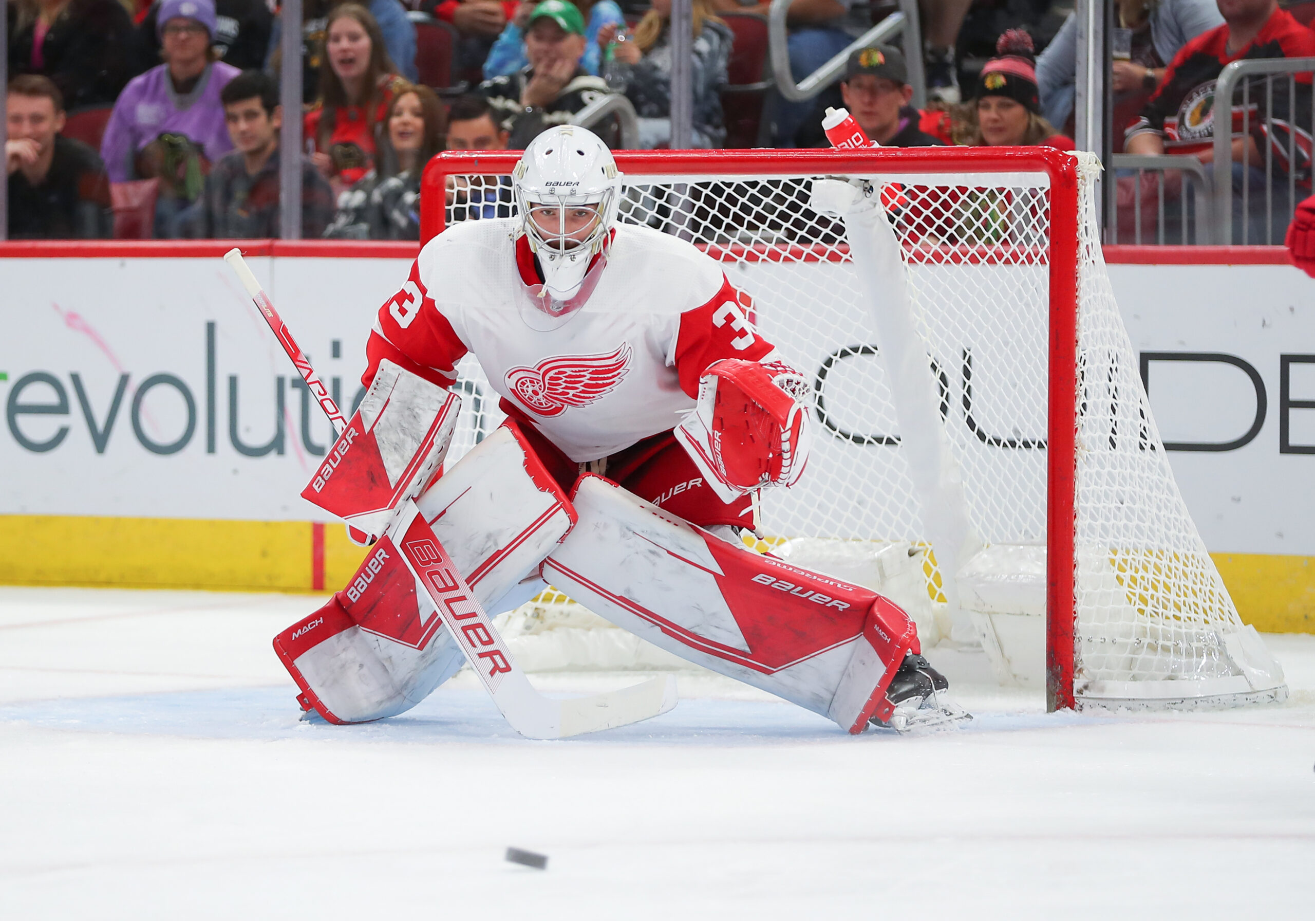 Grading the Mammoth’s Trade for Red Wings’ Sebastian Cossa