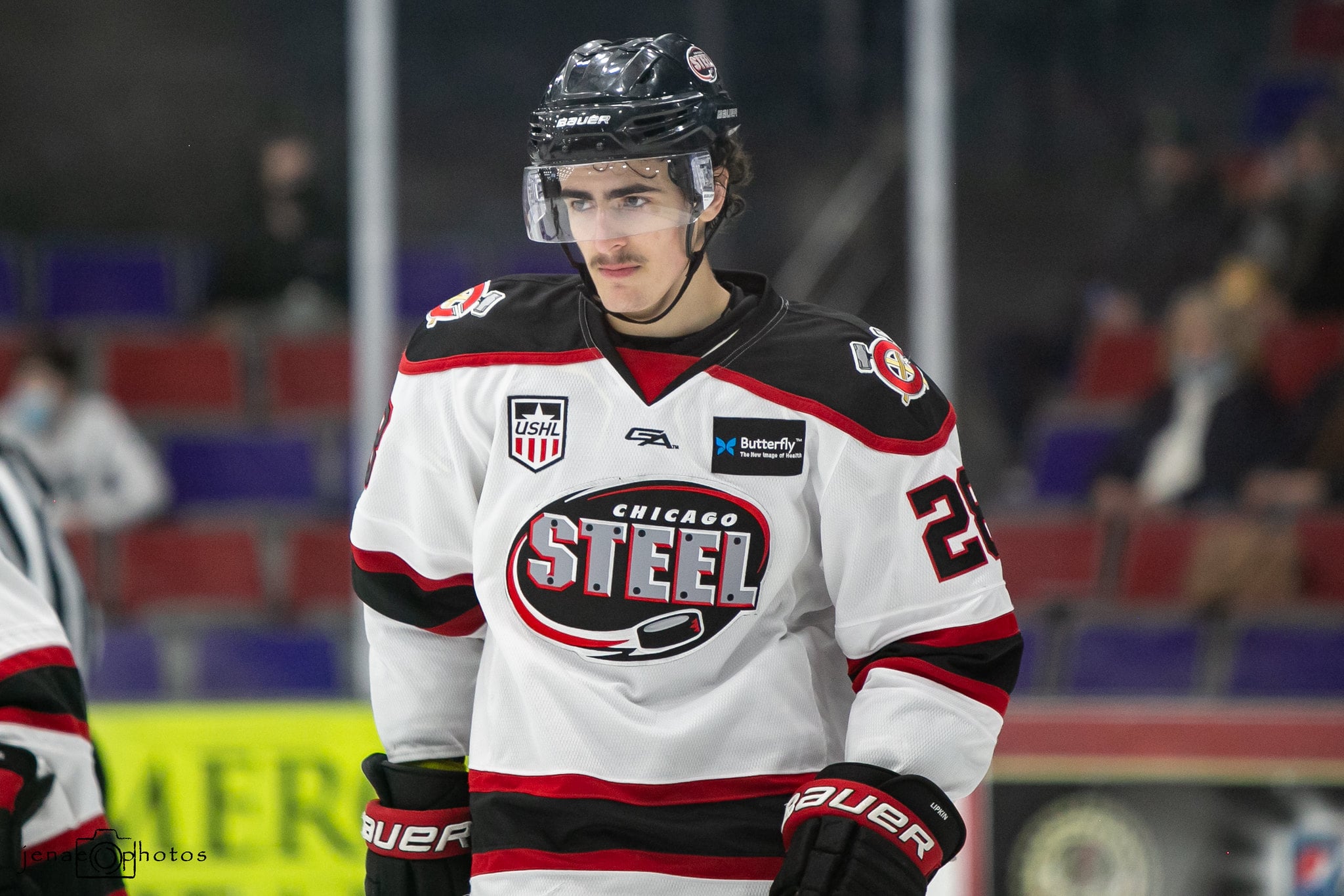 What the Coyotes Are Getting by Signing Sam Lipkin