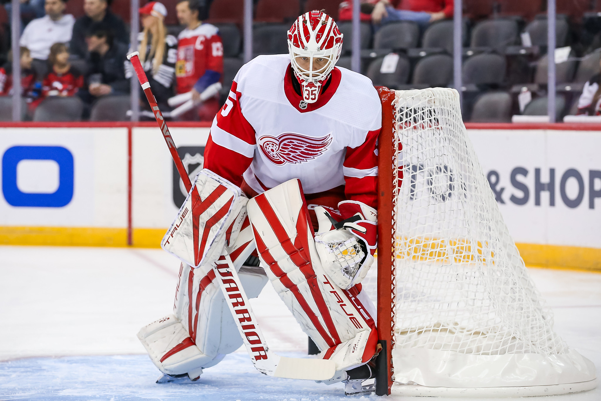 Red Wings Need to Clear Their Goalie Logjam