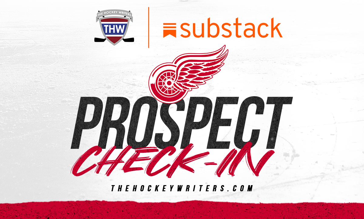 Detroit Red Wings Prospect Check-In