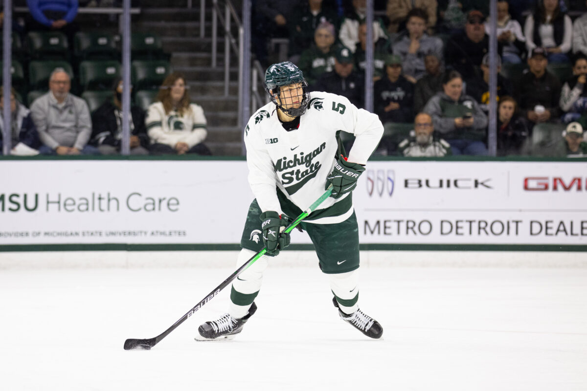 Artyom Levshunov Michigan State University