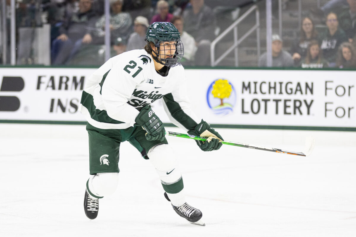 Red Savage Michigan State University