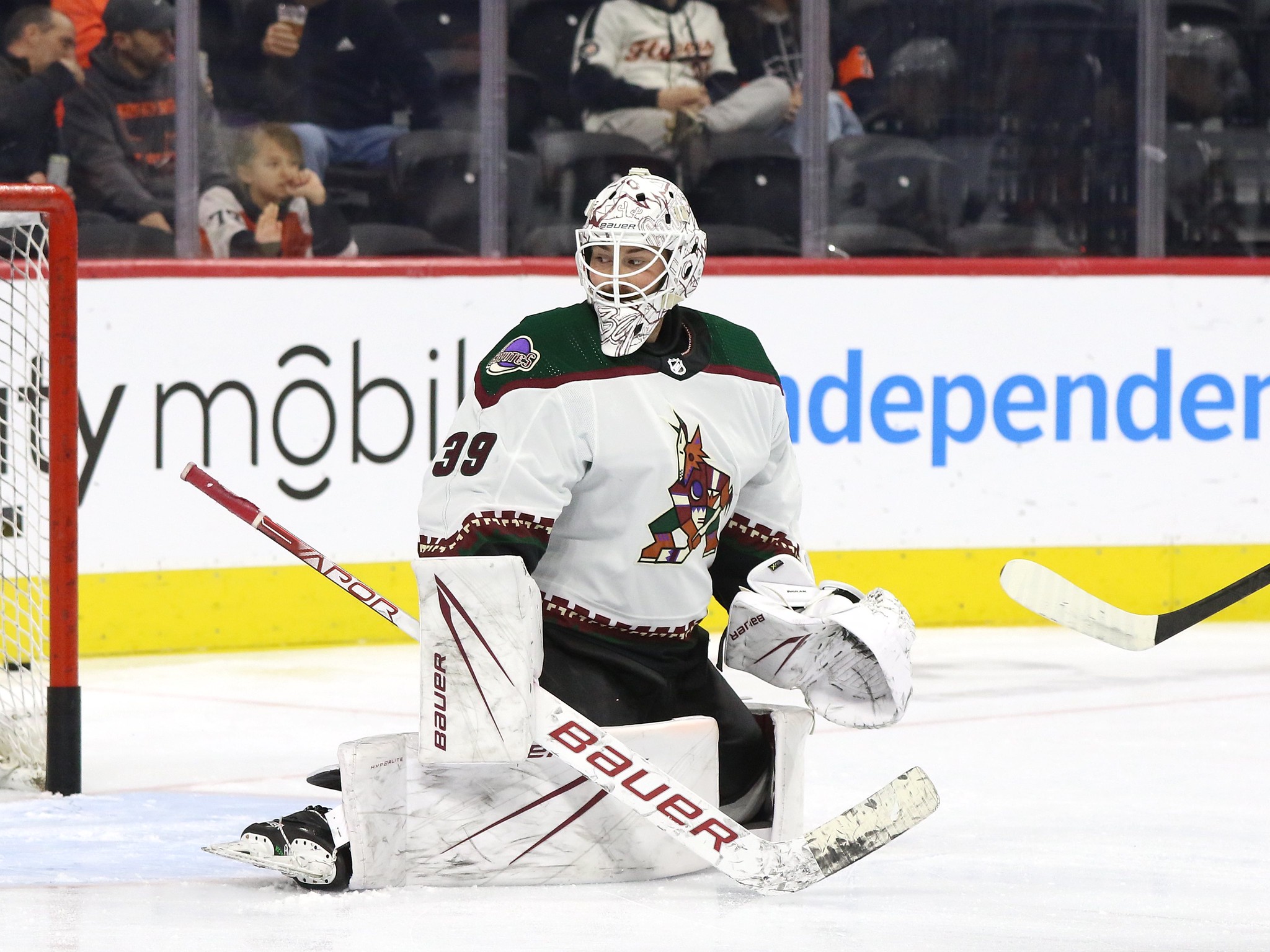 Coyotes’ Future in Net Needs to Be Addressed